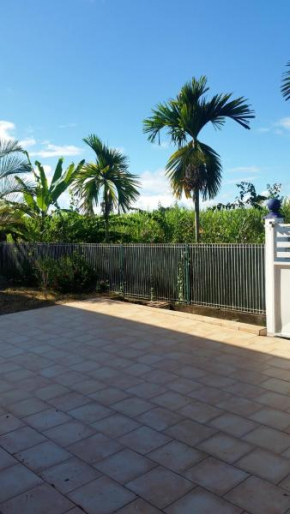 Appartement confortable avec terrasse à Petit-Canal - 50 m²